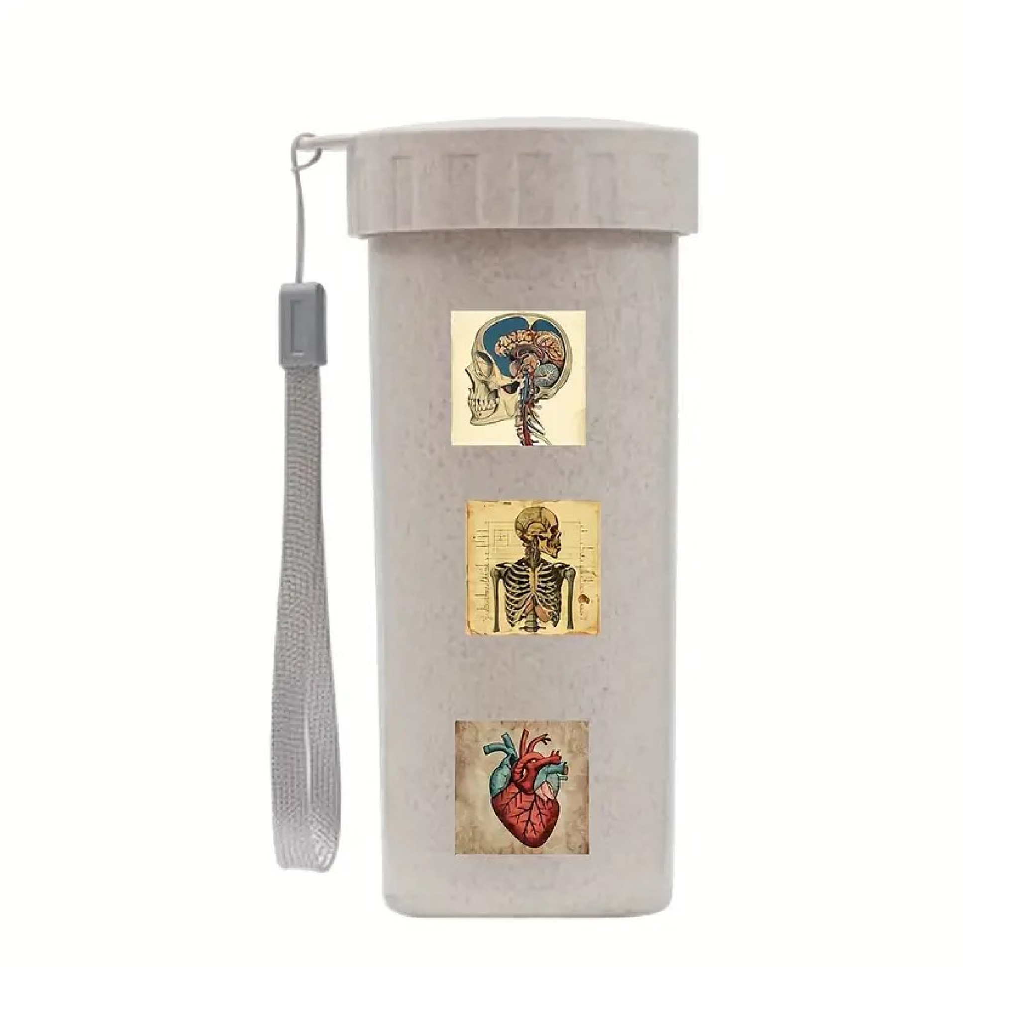 Anatomical Stickers
