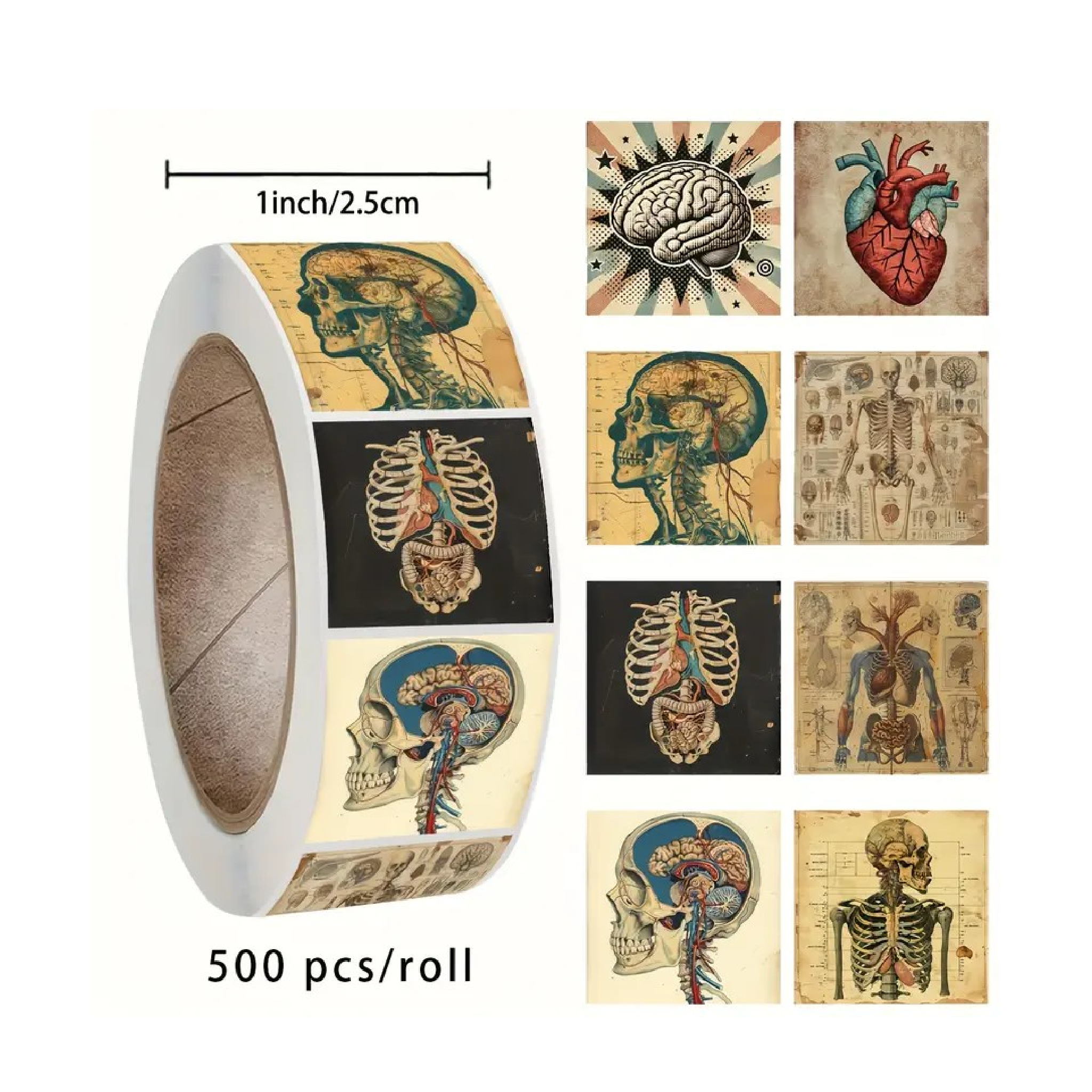 Roll of Anatomical Stickers