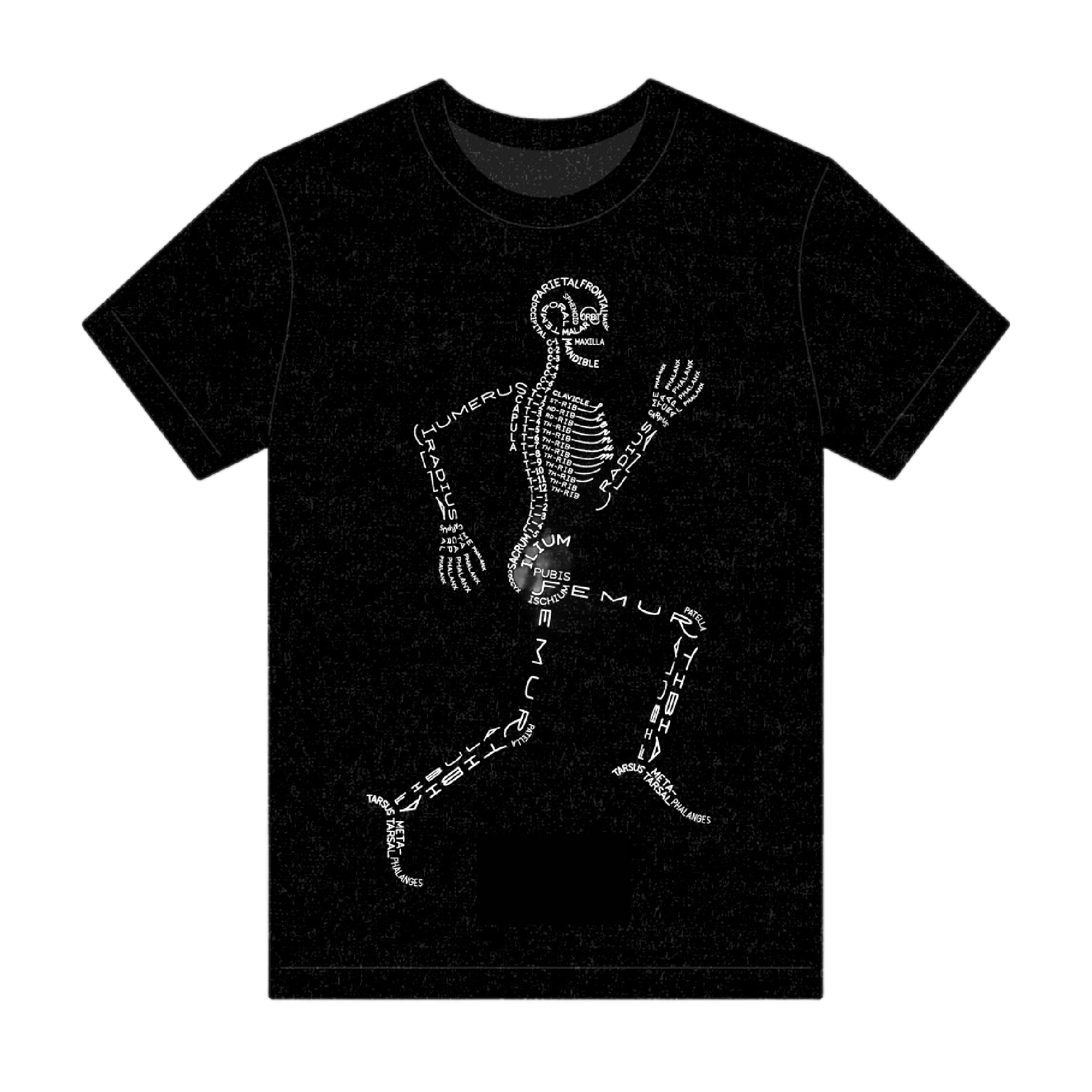 Black Crew Neck Tee Shirt Human Anatomy