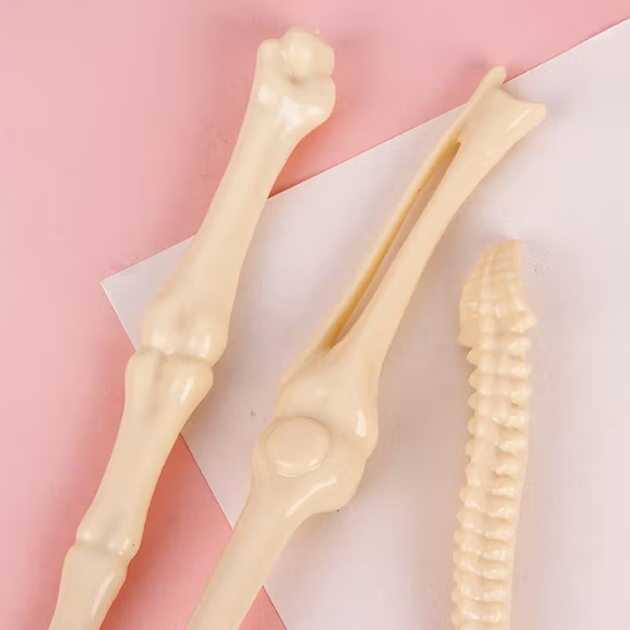 Bone Shaped Ballpoint Pens