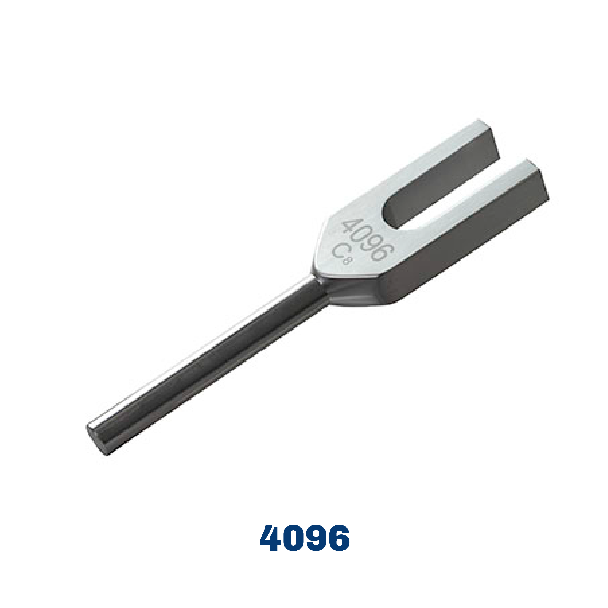 Baseline Tuning Fork 4096
