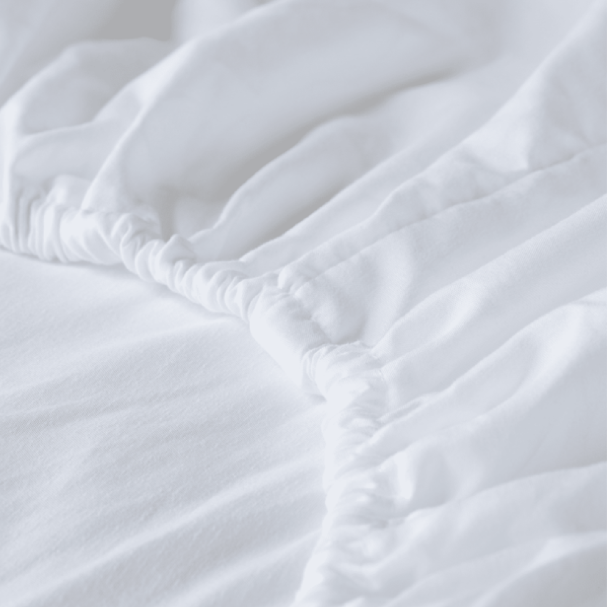 Fitted Sheet - Flannel - 100% Cotton - Merit/Relaxus