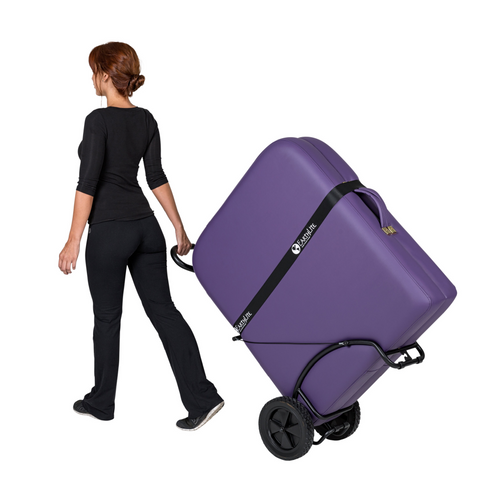 EarthLite Traveler Table Cart for Mobile Massage