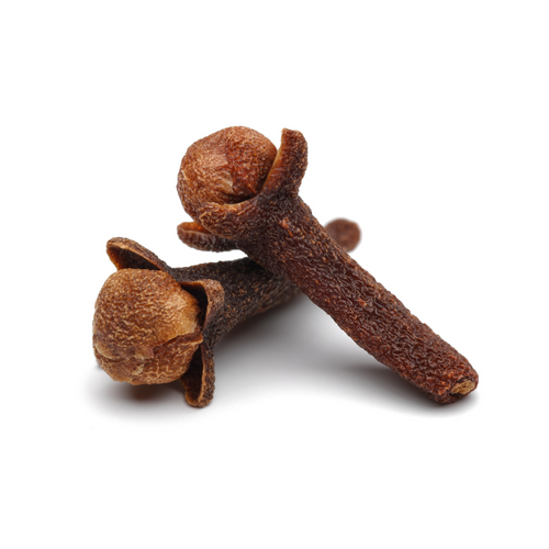Clove Bud Essential Oil