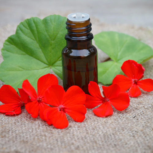 Geranium Essential Oil Organic