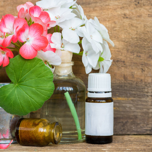 Organic Geranium Essential Oil