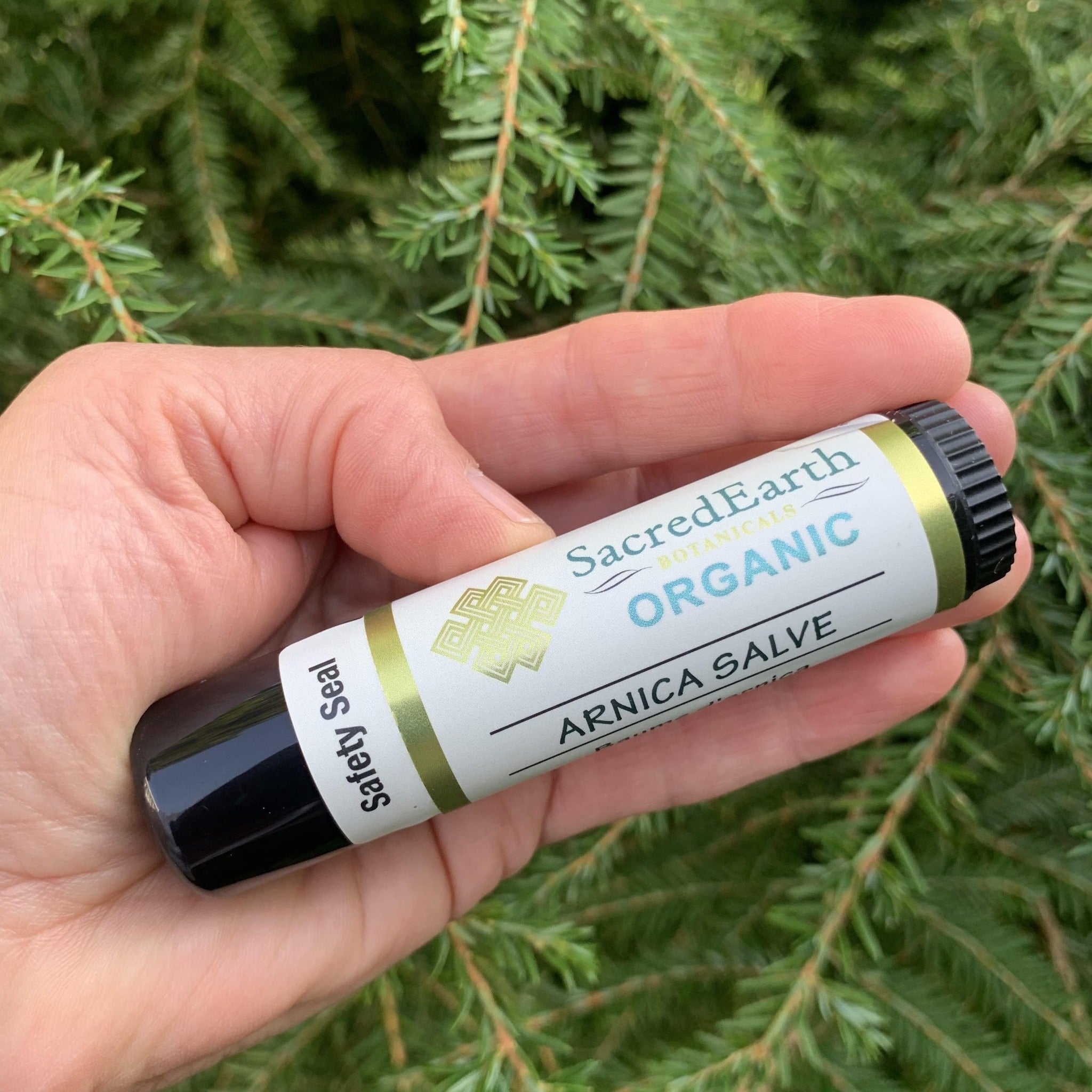 SacredEarth Arnica Salve