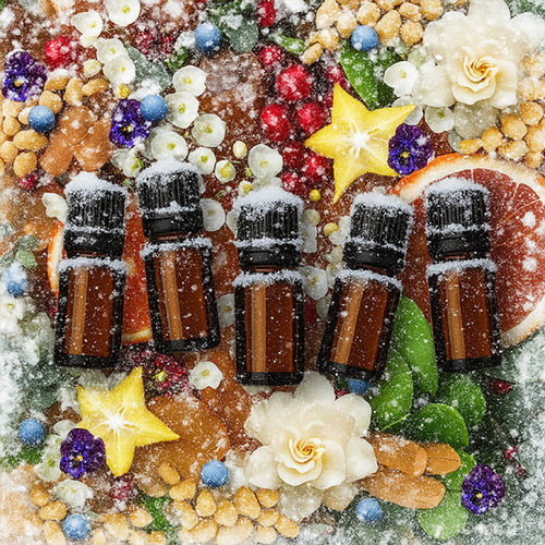 Cozy Winter Fragrance Oil Gift Set