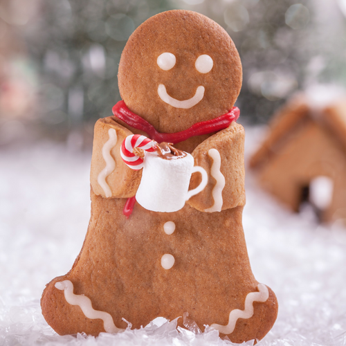 Gingerbread Fragrance Oil