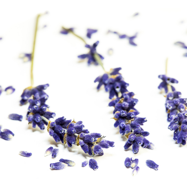 Lavender Hydrosol